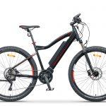 rs19_1