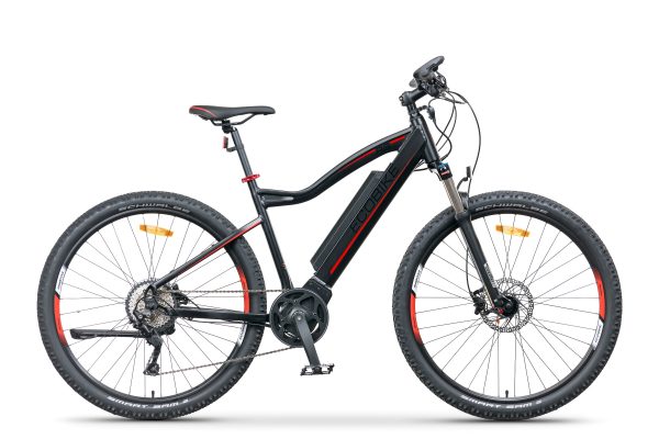 rs19_1