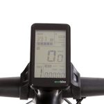rs19_2