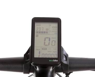 rs19_2