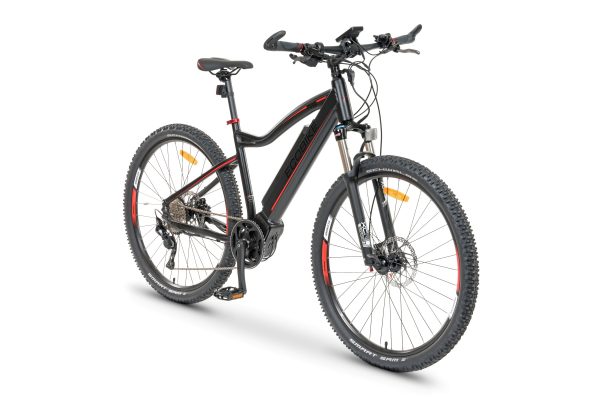 rs19_5