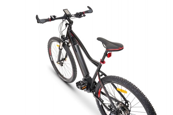 rs19_6