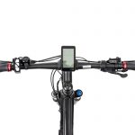 rs19_8
