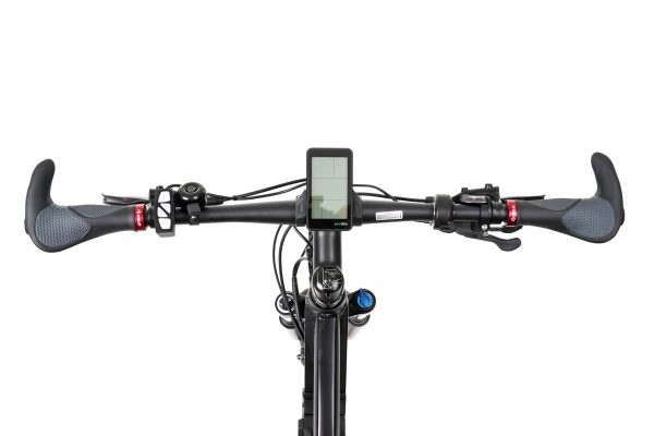 rs19_8