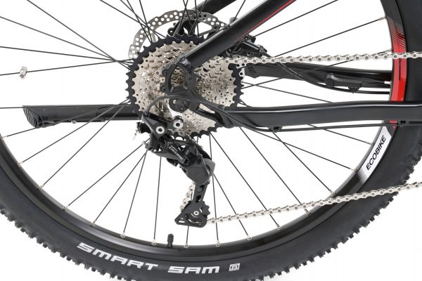 rs19_9