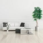 Mango_180_3