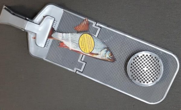 ZT