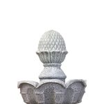 TARO_POMPA_1666_7