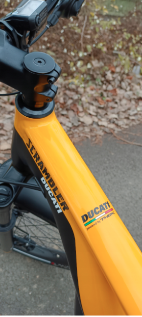 Ducati Sclamler_3