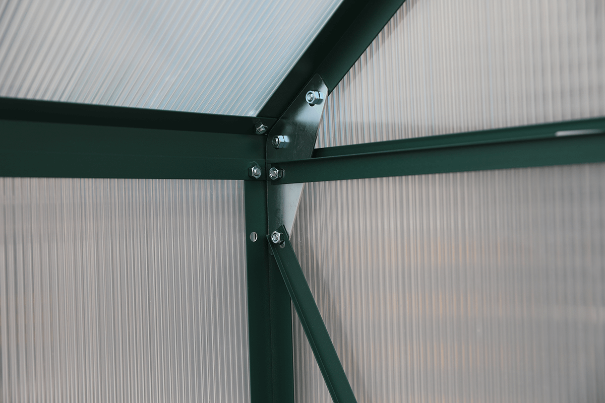 Darkgreen240x362_7